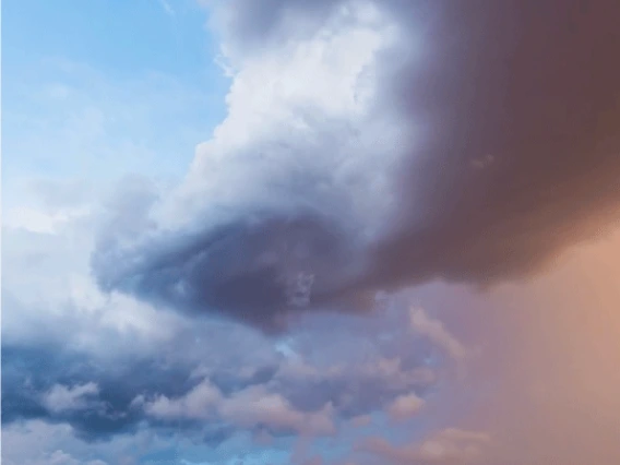 Closeup photo of a monsoon