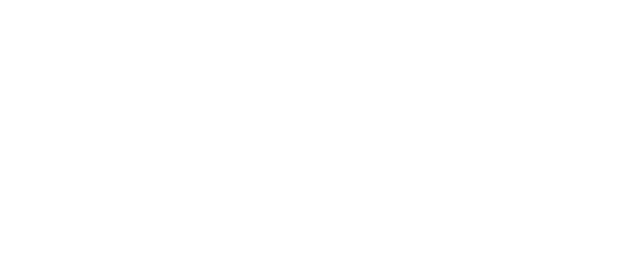 Wonder in Austin Logo