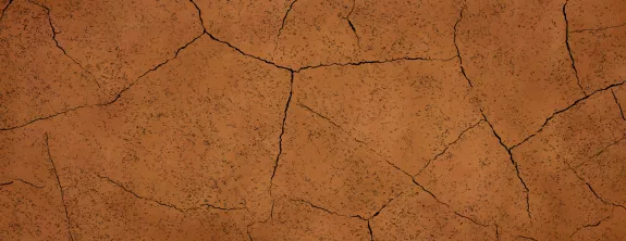 Still from Desiccation Animation