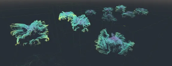 still from PhytoOracle VR project of virtual plants