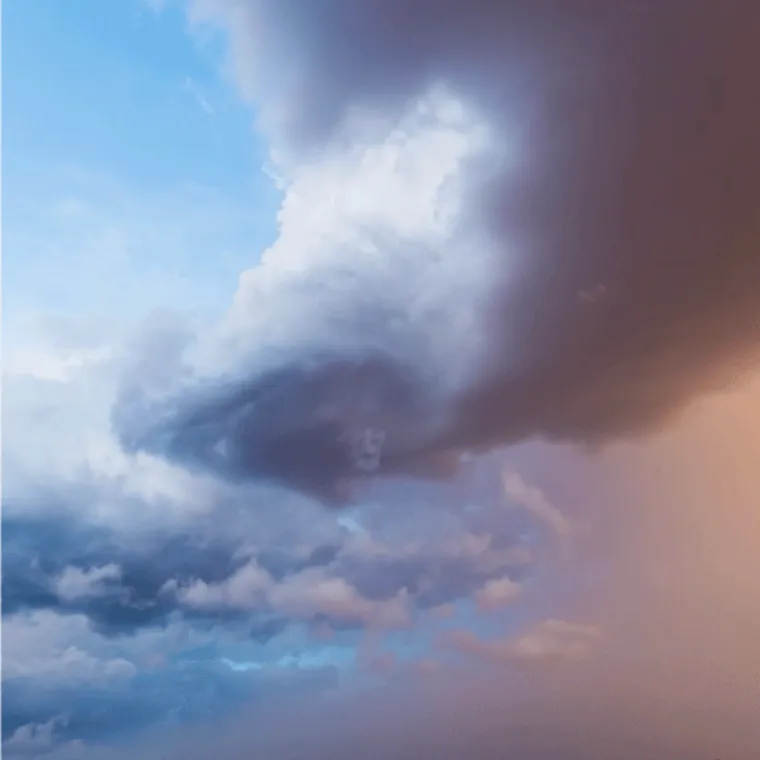 Closeup photo of a monsoon